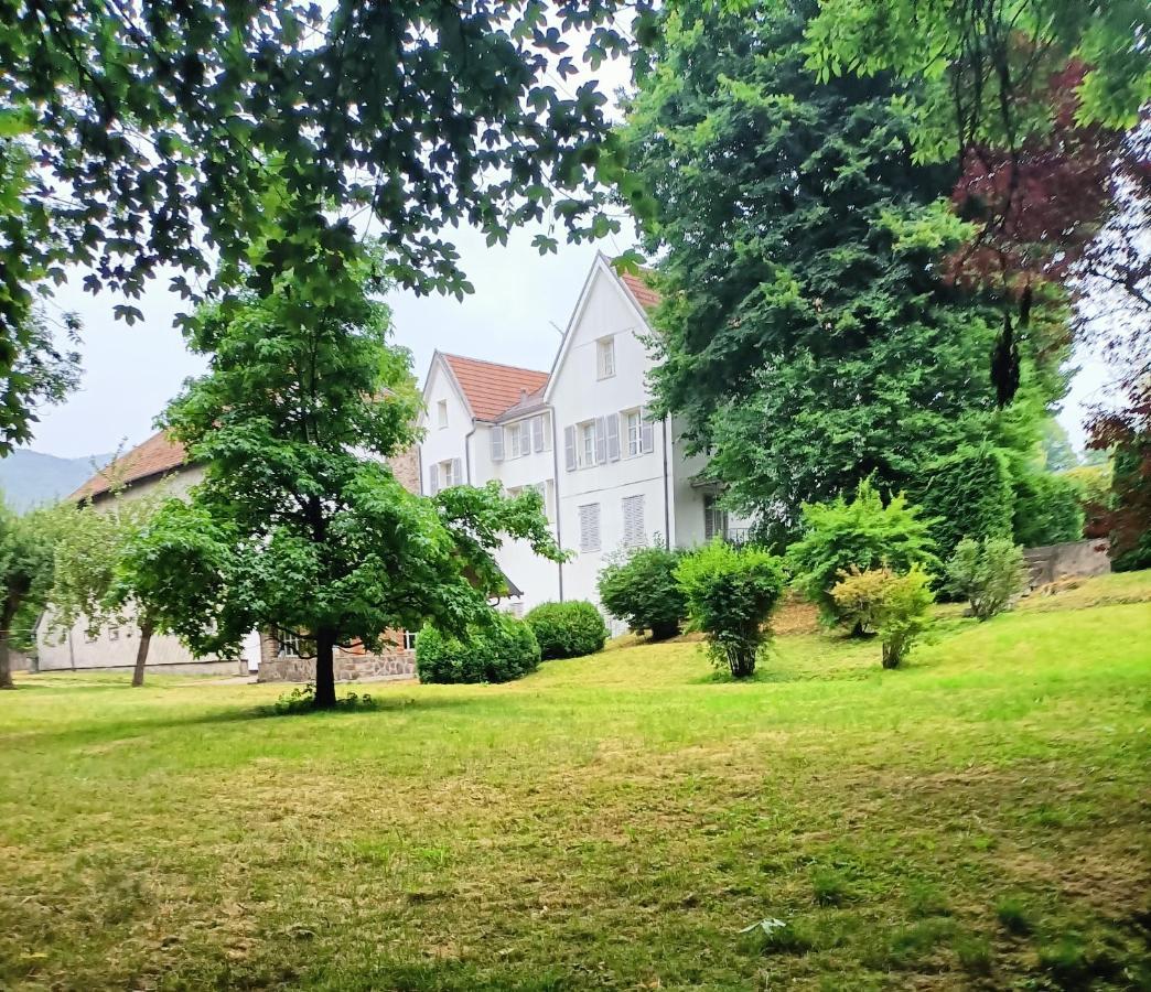 Domaine De La Moselle Bed & Breakfast Saint-Maurice-sur-Moselle Exterior photo